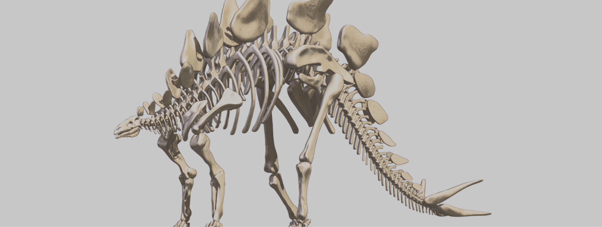 Représentation d'un modèle 3D de dinosaure