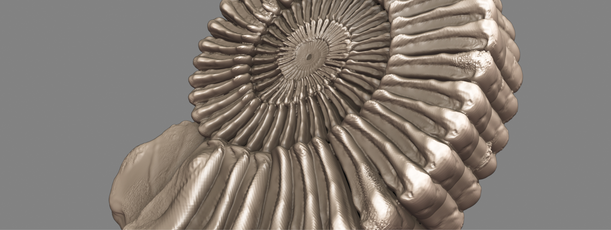 Scan d’un fossile en 3D